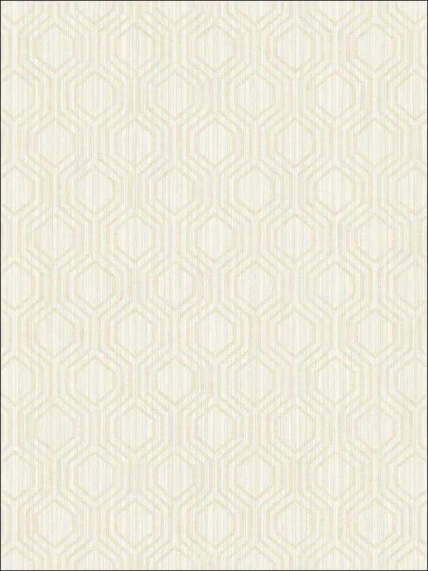 Casa Mia RM30605 Geometric Hexagon Wallpaper swatch