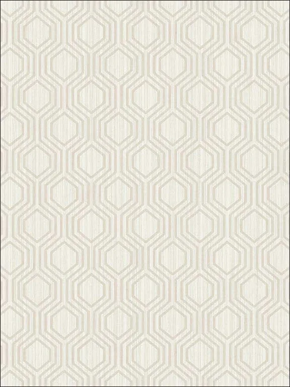 Casa Mia RM30608 Geometric Hexagon Wallpaper swatch