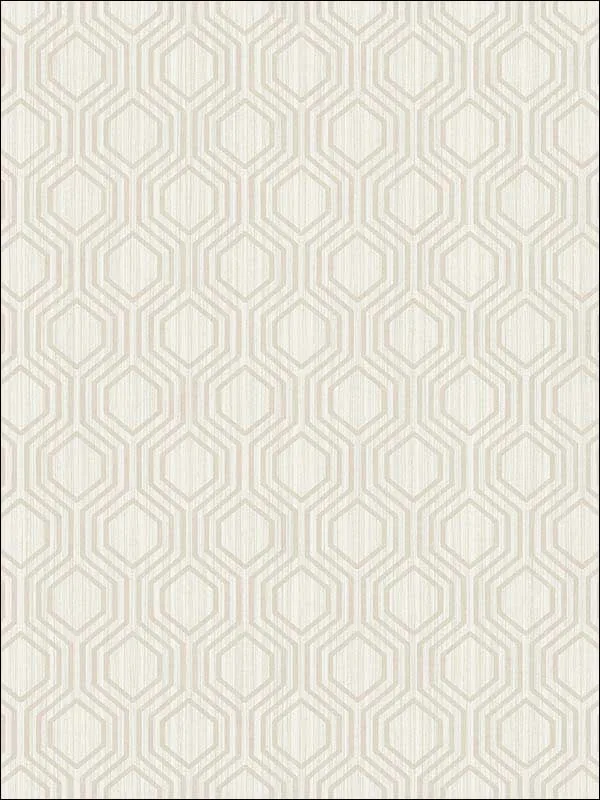 Casa Mia RM30608 Geometric Hexagon Wallpaper swatch