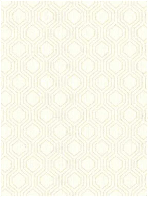 Casa Mia RM30610 Geometric Hexagon Wallpaper swatch