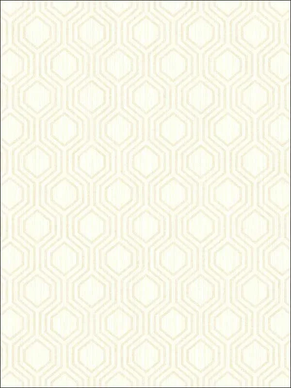 Casa Mia RM30610 Geometric Hexagon Wallpaper swatch