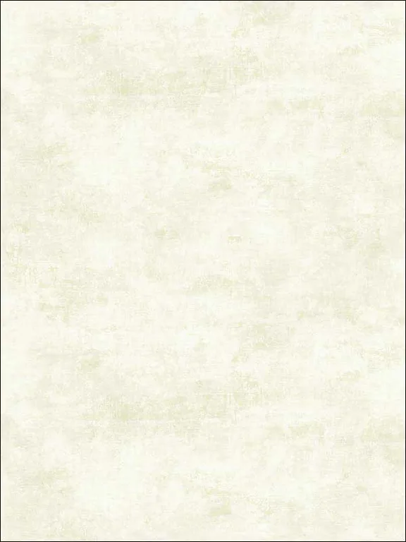 Casa Mia RM51902 Faux Texture Wallpaper swatch