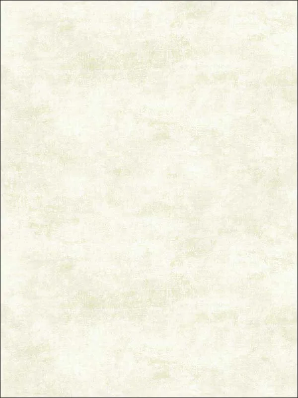 Casa Mia RM51902 Faux Texture Wallpaper swatch