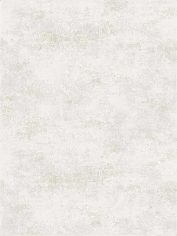Casa Mia RM51903 Faux Texture Wallpaper swatch