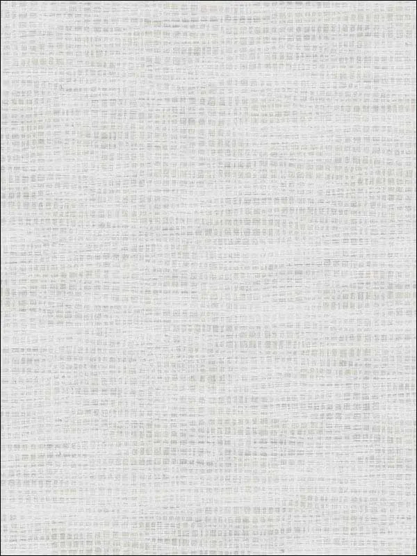 Casa Mia RM70309 Woven Texture Wallpaper swatch