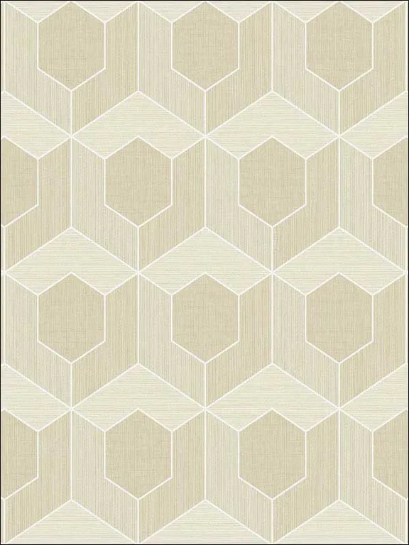 Casa Mia RM70405 3D Hexagon Wallpaper swatch