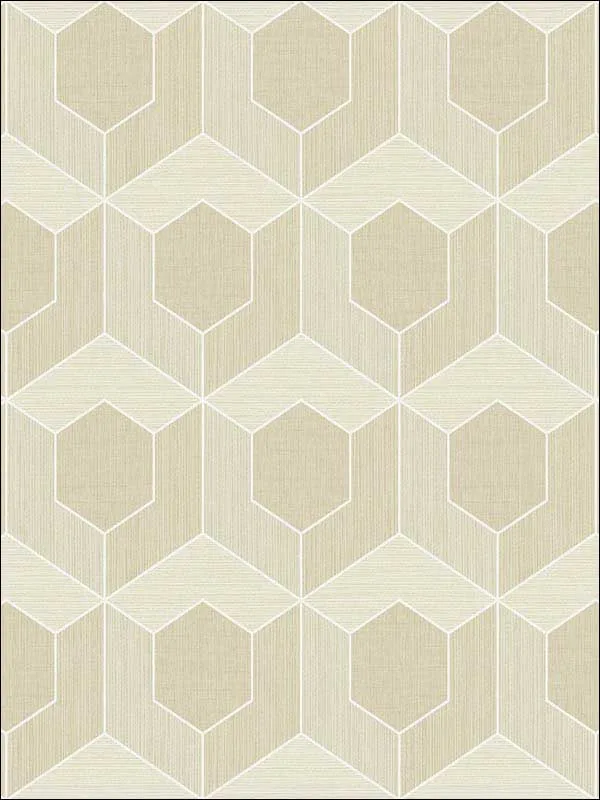 Casa Mia RM70405 3D Hexagon Wallpaper swatch