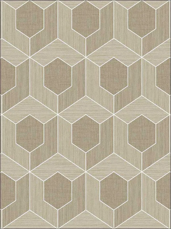 Casa Mia RM70406 3D Hexagon Wallpaper swatch