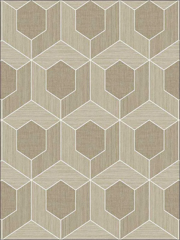 Casa Mia RM70406 3D Hexagon Wallpaper swatch