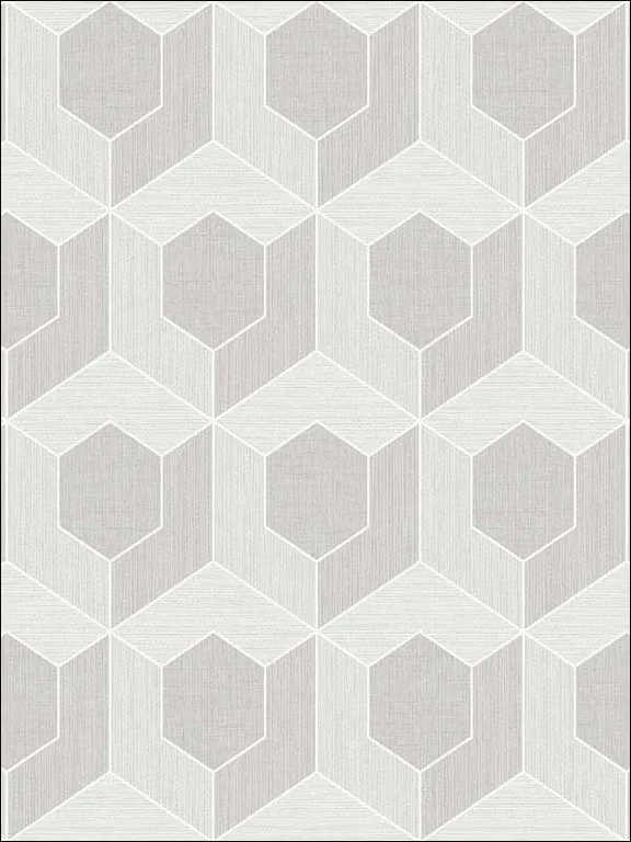 Casa Mia RM70407 3D Hexagon Wallpaper swatch