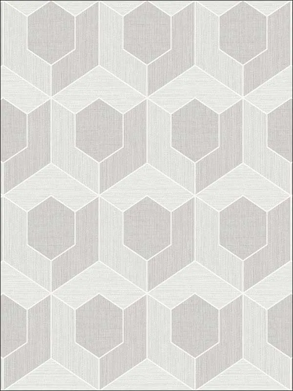Casa Mia RM70407 3D Hexagon Wallpaper swatch