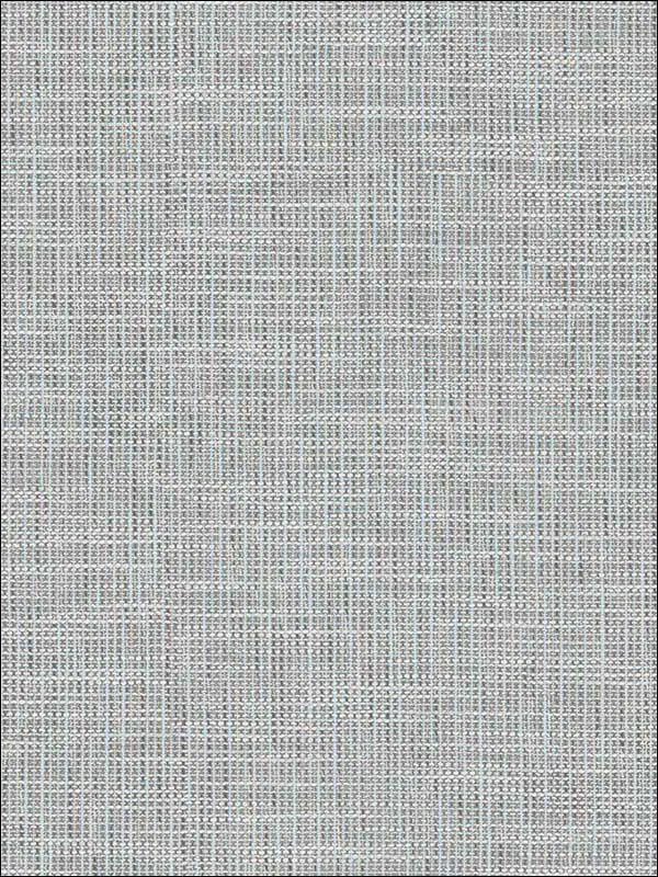 Casa Mia RM70702 Grasscloth Effect Wallpaper swatch