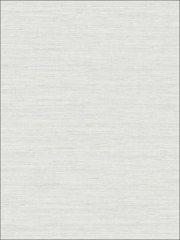 Casa Mia RM70900 Metallic Texture Wallpaper swatch