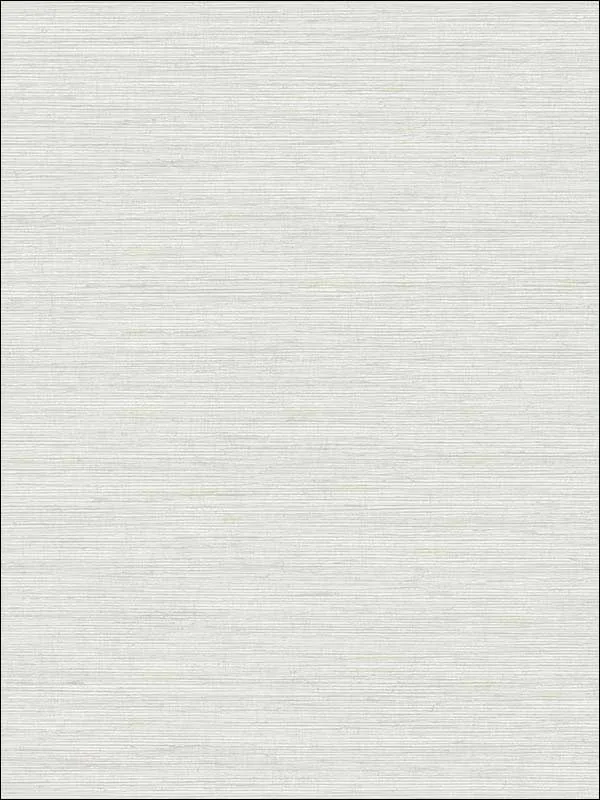 Casa Mia RM70900 Metallic Texture Wallpaper swatch