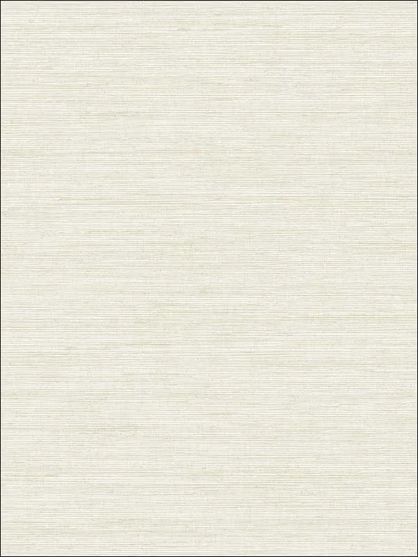 Casa Mia RM70905 Metallic Texture Wallpaper swatch