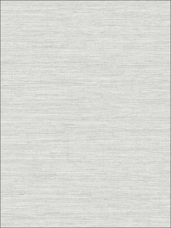 Casa Mia RM70907 Metallic Texture Wallpaper swatch