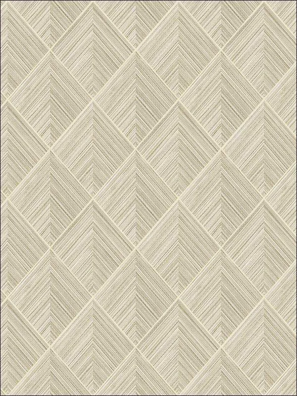 Casa Mia RM71005 3D Pyramid Grasscloth Wallpaper swatch