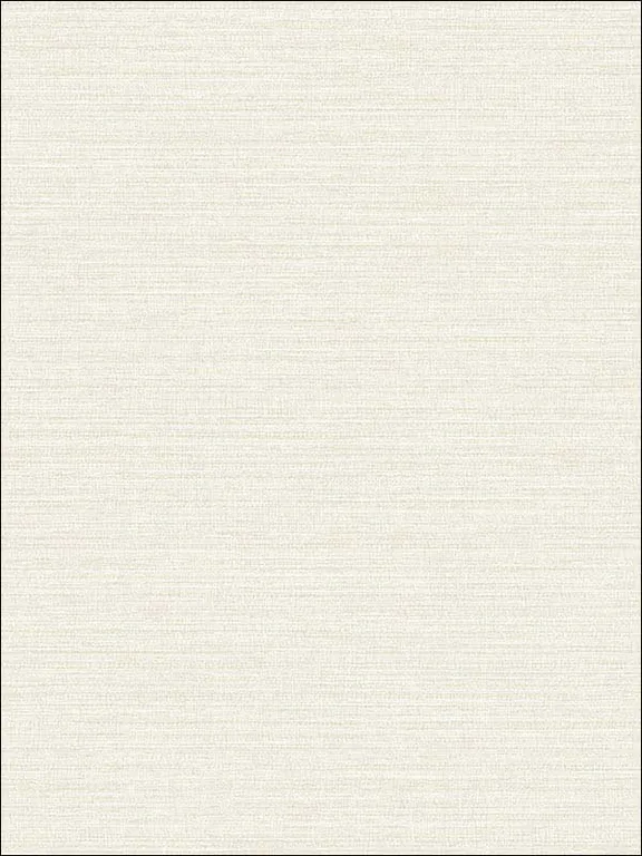 Casa Mia RM80505 Grasscloth Effect Wallpaper swatch