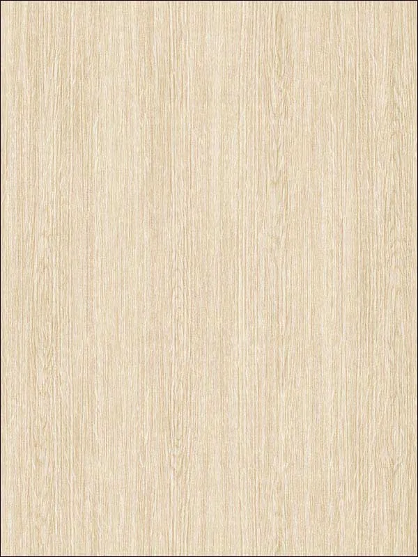 Casa Mia RM90605 Plain Wood Wallpaper swatch