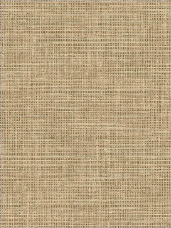 Casa Mia RM90905 Grasscloth Effect Wallpaper swatch