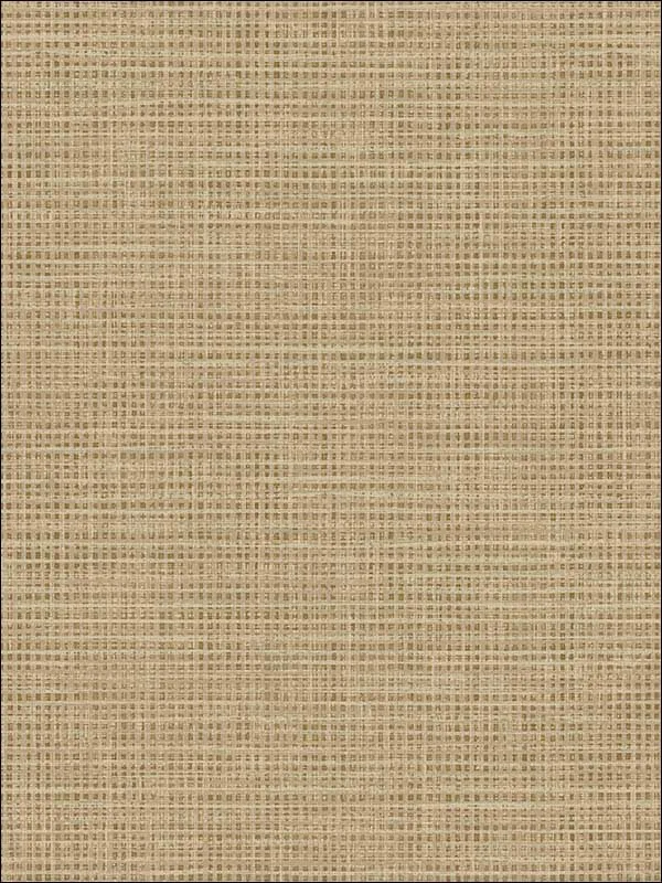 Casa Mia RM90905 Grasscloth Effect Wallpaper swatch