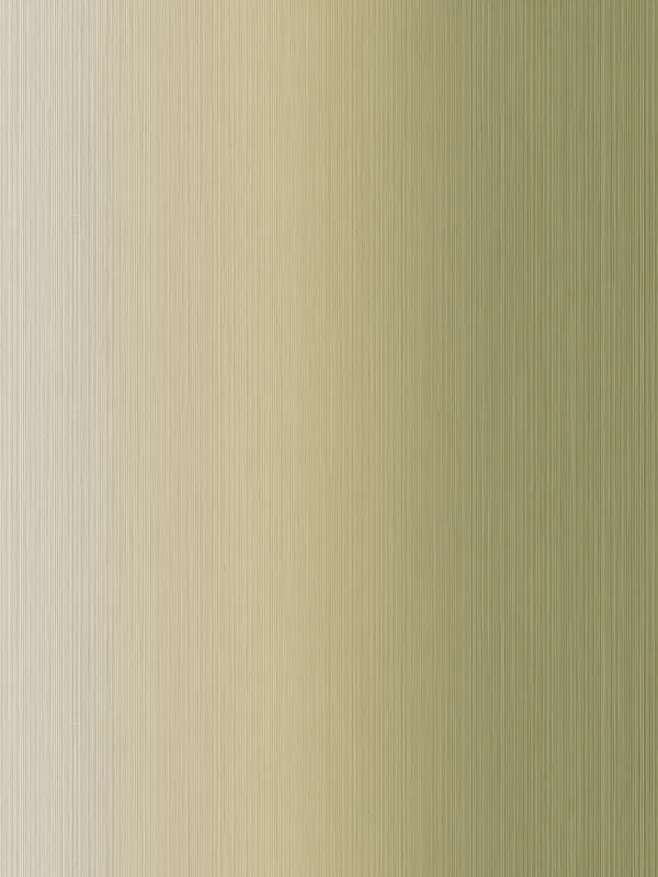 Casa Mia WF20604 Shading Stripes Wallpaper swatch