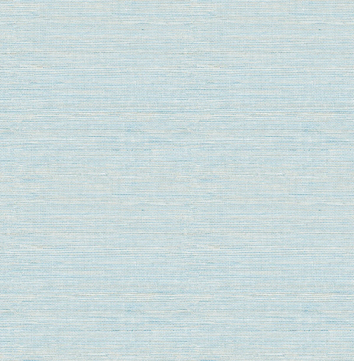 3124-24283 | Agave – Blue