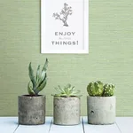 Chesapeake Agave - Green Wallpaper | Buy Online Chesapeake Agave wallpaper, color Green, SKU 3117-24284