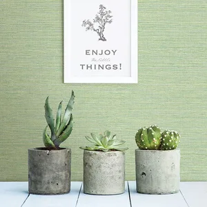 Chesapeake Agave wallpaper, color Green, SKU 3117-24284