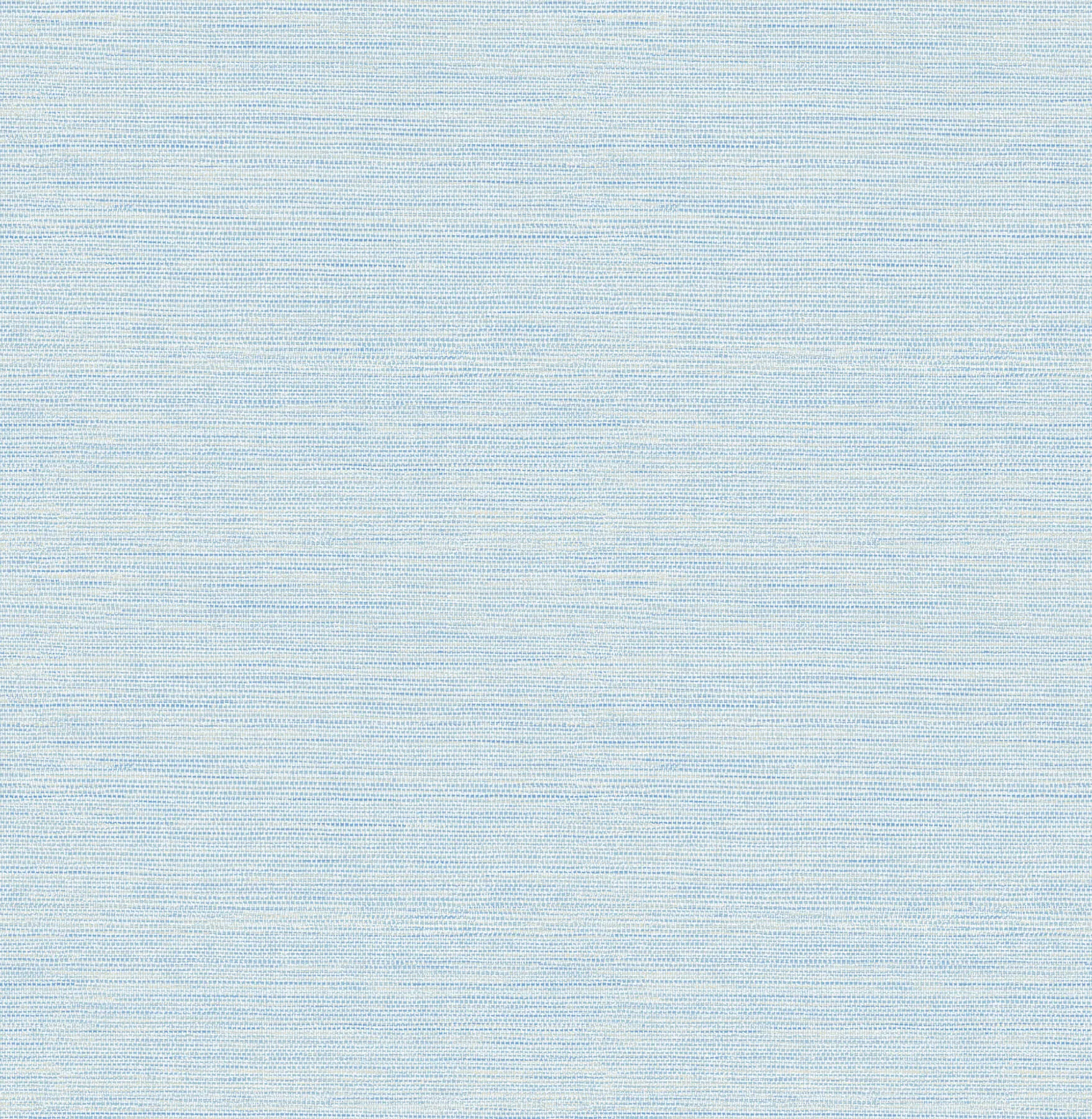 4169-24283 | Agave – Sky Blue