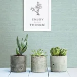 Chesapeake Agave - Teal Wallpaper | Buy Online Chesapeake Agave wallpaper, color Teal, SKU 3117-24282