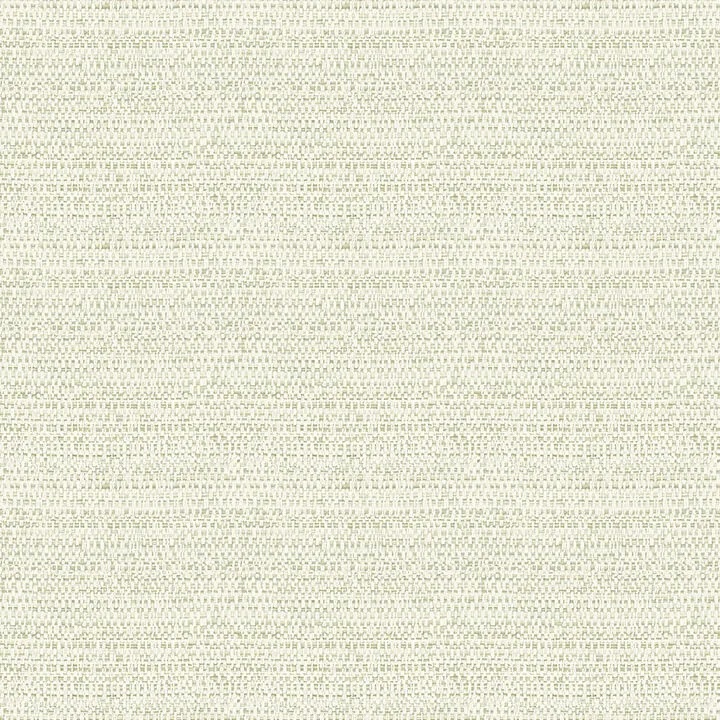 Chesapeake Balantine wallpaper, color Sage, SKU 4072-70057