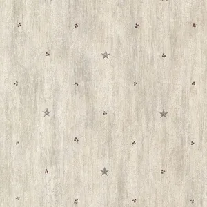 Chesapeake Bryndle wallpaper, color Grey, SKU CTR090611