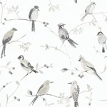Chesapeake Birdsong - Grey Wallpaper | Buy Online Chesapeake Birdsong wallpaper, color Grey, SKU 3124-13853