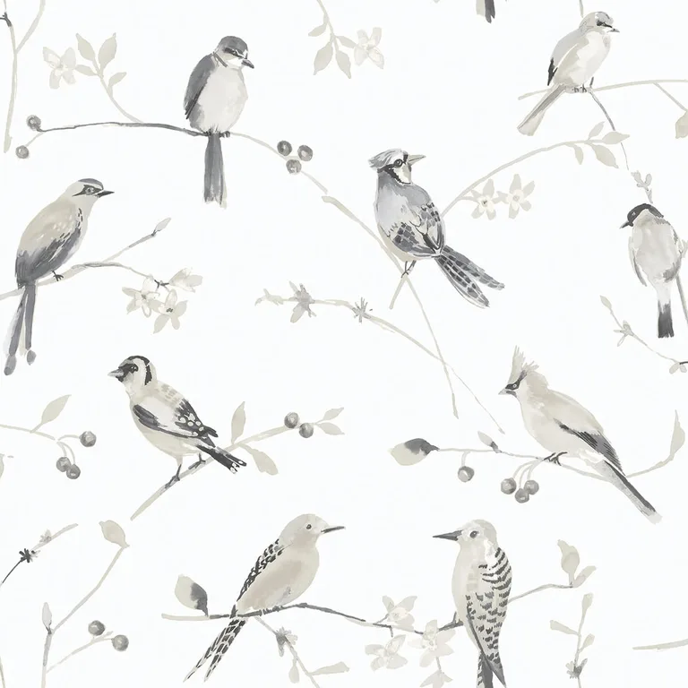 Chesapeake Birdsong wallpaper, color Grey, SKU 3124-13853