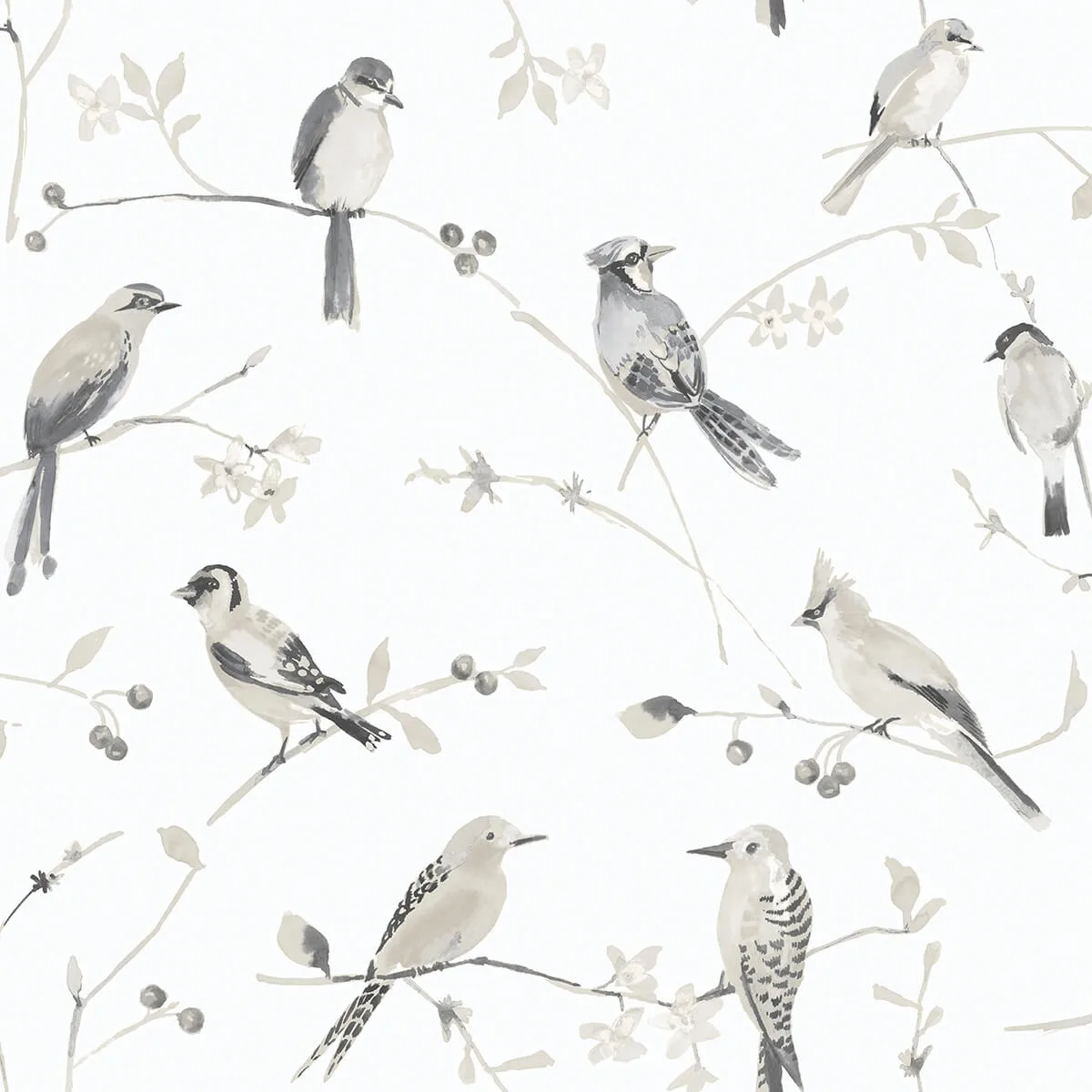 Chesapeake Birdsong wallpaper, color Grey, SKU 3124-13853