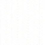 Chesapeake Bison - Bone Wallpaper | Buy Online Chesapeake Bison wallpaper, color Bone, SKU 3123-25094