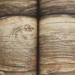 Chesapeake Bunkhouse - Chestnut Wallpaper | Buy Online Chesapeake Bunkhouse wallpaper, color Chestnut, SKU 4142-72618