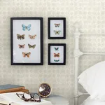 Chesapeake Button Block - Light Grey Wallpaper | Buy Online Chesapeake Button Block wallpaper, color Light Grey, SKU 3125-72309
