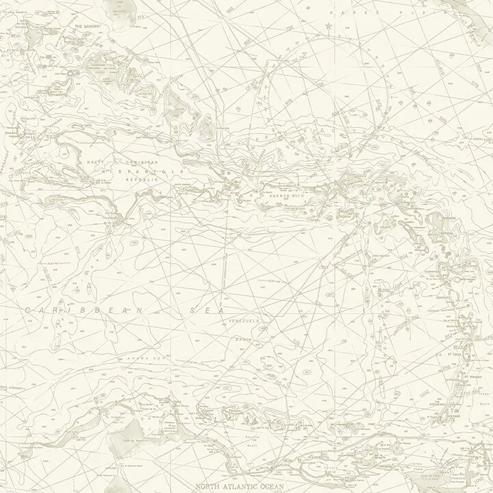Chesapeake Charts wallpaper, color Taupe, SKU 4071-71057