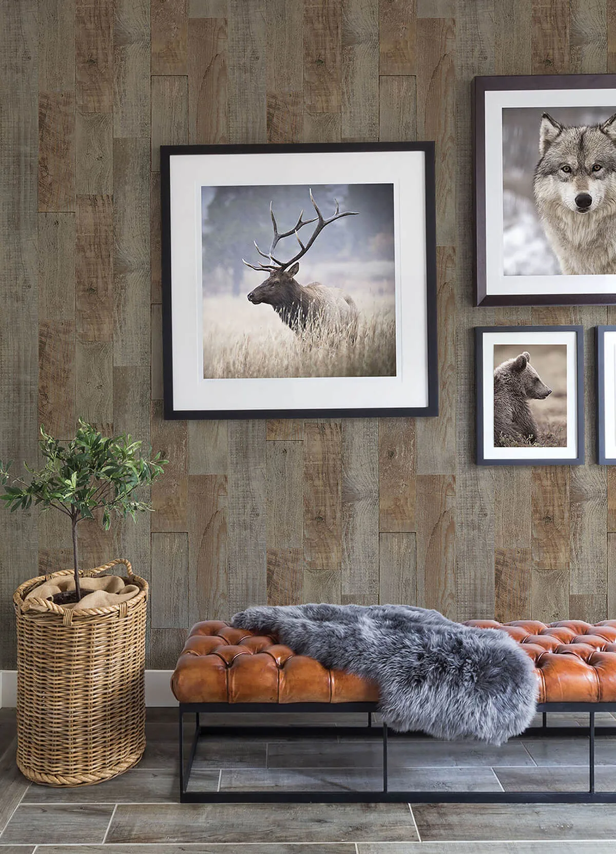 Chesapeake Chebacco - Brown Wallpaper | Buy Online Chesapeake Chebacco wallpaper, color Brown, SKU 3124-12693