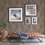 Chesapeake Chebacco - Brown Wallpaper | Buy Online Chesapeake Chebacco wallpaper, color Brown, SKU 3118-12693