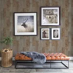 Chesapeake Chebacco - Brown Wallpaper | Buy Online Chesapeake Chebacco wallpaper, color Brown, SKU 3123-12693