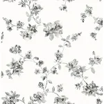 Chesapeake Cyrus - Charcoal Wallpaper | Buy Online Chesapeake Cyrus wallpaper, color Charcoal, SKU 3123-24482