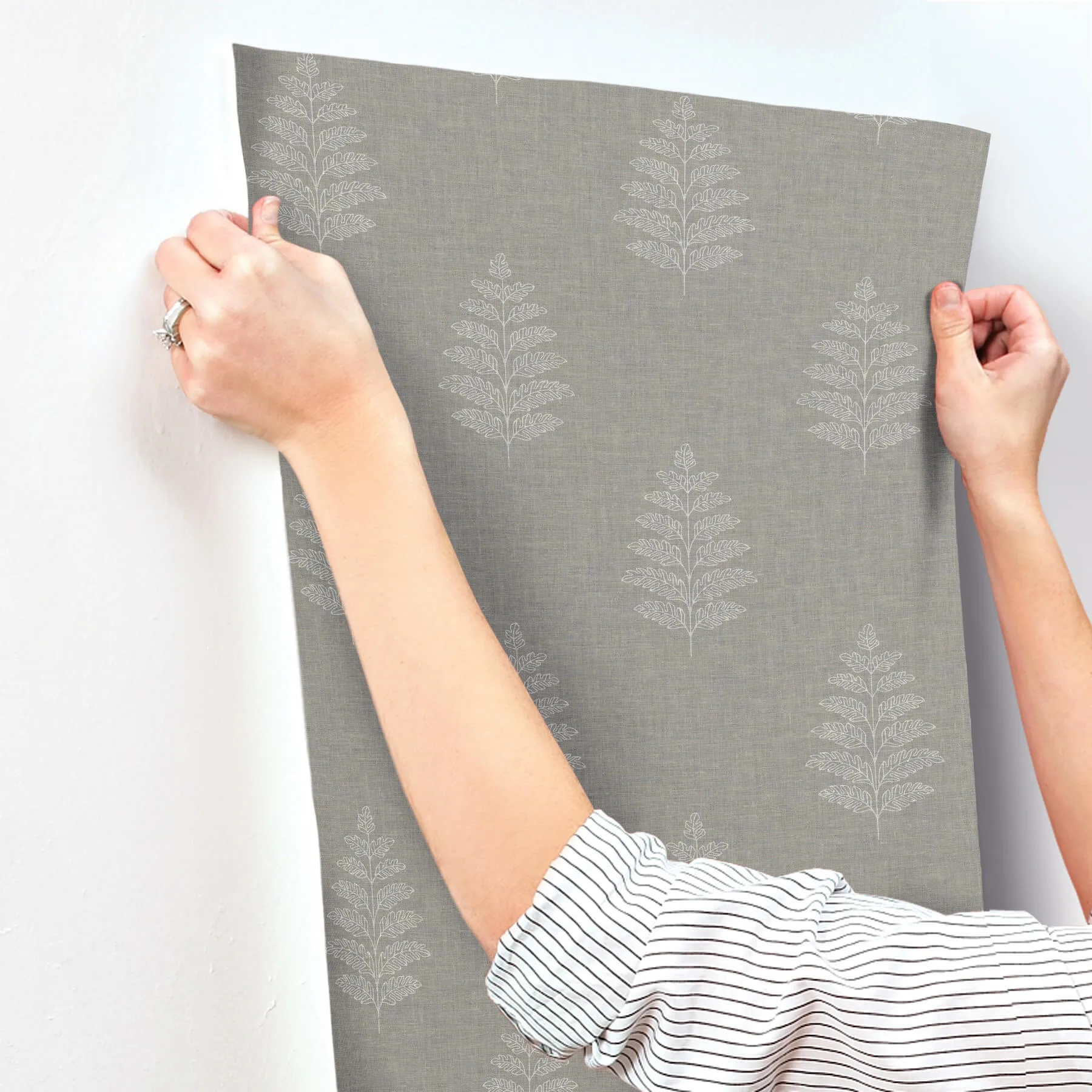 Chesapeake Frond wallpaper, color Charcoal, SKU 4169-83128