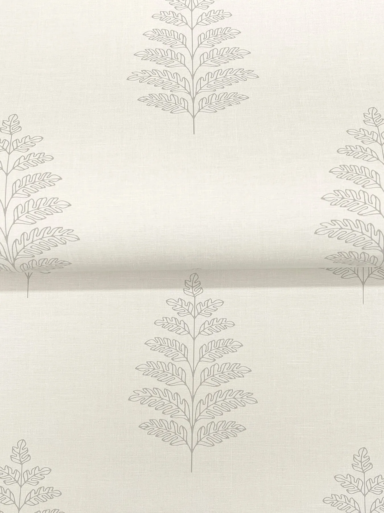 Chesapeake Frond - Cream Wallpaper | Buy Online Chesapeake Frond wallpaper, color Cream, SKU 4169-83125