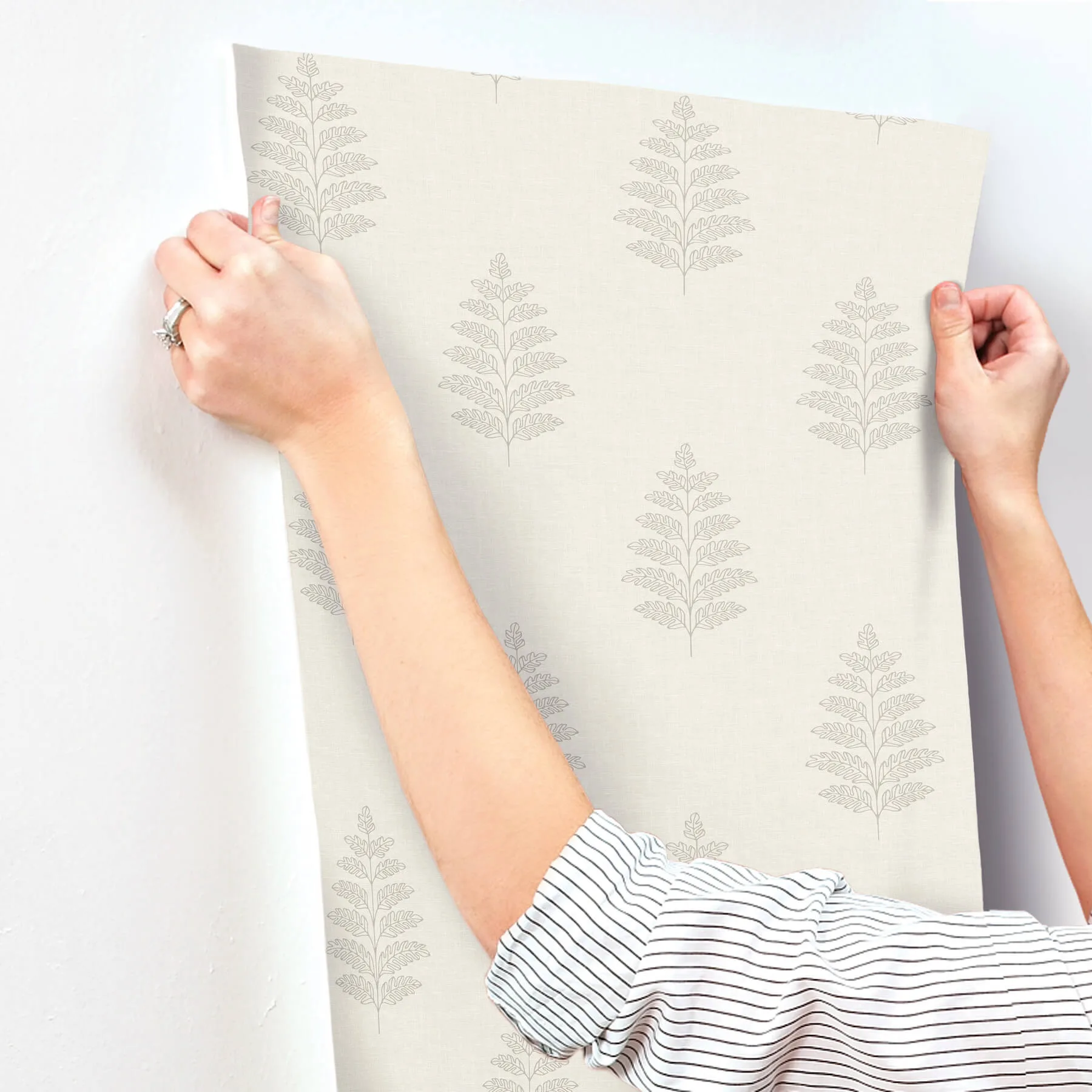 Chesapeake Frond - Cream Wallpaper | Buy Online Chesapeake Frond wallpaper, color Cream, SKU 4169-83125