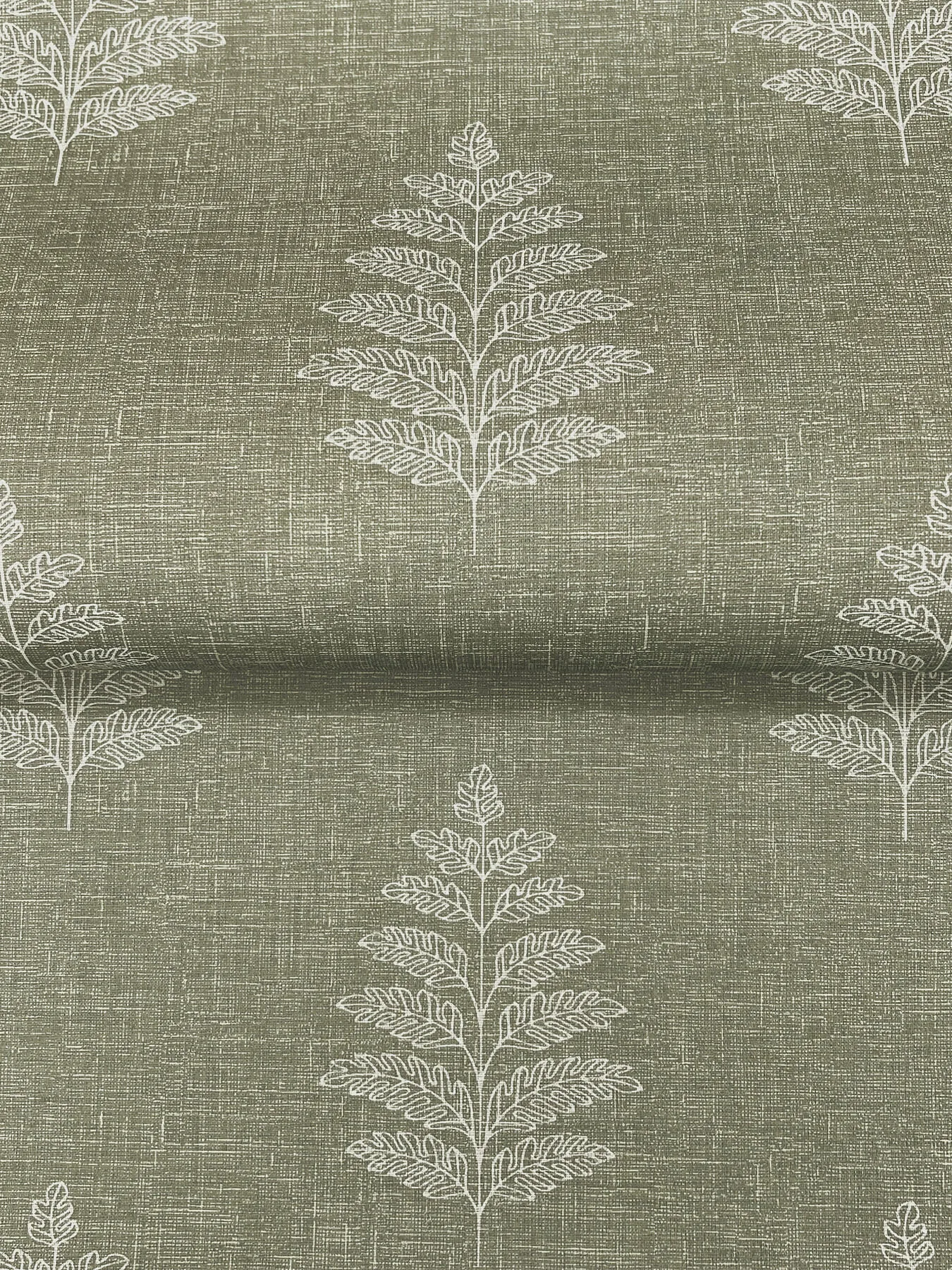 Chesapeake Frond - Dark Green Wallpaper | Buy Online Chesapeake Frond wallpaper, color Dark Green, SKU 4169-83126