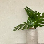 Chesapeake Homespun - Dove Wallpaper | Buy Online Chesapeake Homespun wallpaper, color Dove, SKU 3125-72359