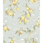 Chesapeake Lemonade - Aqua Wallpaper | Buy Online Chesapeake Lemonade wallpaper, color Aqua, SKU 4134-72508